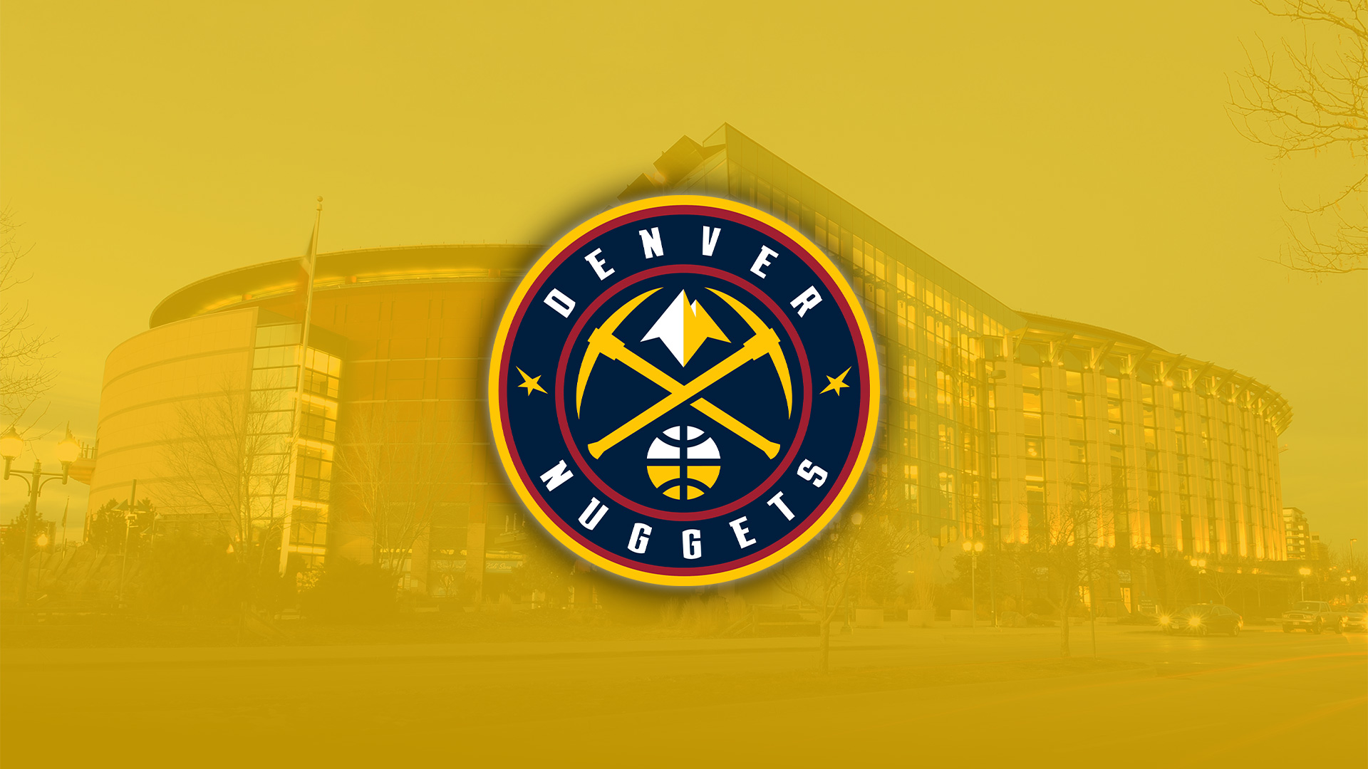Denver Nuggets Game Image